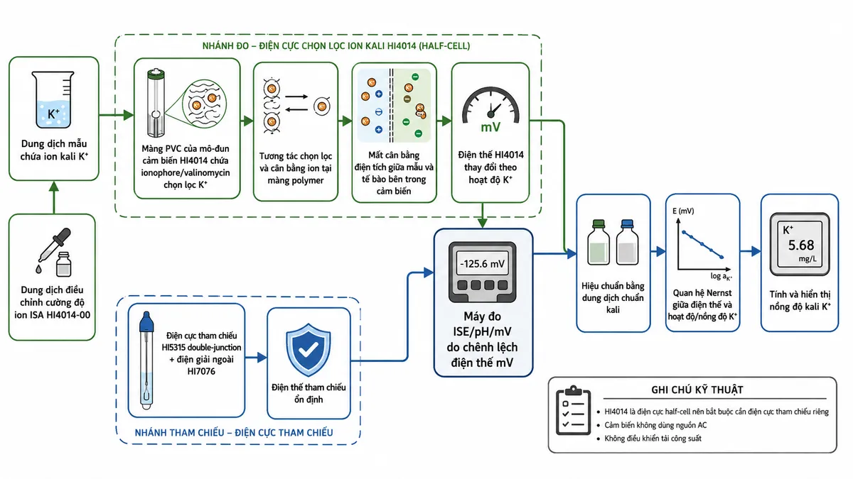 Vẽ sơ đồ nguyên lý hoạt động dạng block diagram kỹ thuật của Hanna HI4014 trên nền trắng, bố cục ngang. Bắt đầu từ khối “Dung dịch mẫu chứa ion kali K+” và nhánh “Dung dịch điều chỉnh cường độ ion ISA HI4014-00” → “Màng PVC của mô-đun cảm biến HI4014 chứa ionophore/valinomycin chọn lọc K+” → “Tương tác chọn lọc và cân bằng ion tại màng polymer” → “Mất cân bằng điện tích giữa mẫu và tế bào bên trong cảm biến” → “Điện thế HI4014 thay đổi theo hoạt độ K+”. Tạo nhánh song song “Điện cực tham chiếu HI5315 double-junction + điện giải ngoài HI7076” → “Điện thế tham chiếu ổn định”. Hai nhánh hợp nhất tại “Máy đo ISE/pH/mV đo chênh lệch điện thế mV” → “Hiệu chuẩn bằng dung dịch chuẩn kali” → “Quan hệ Nernst giữa điện thế và hoạt độ/nồng độ K+” → “Tính và hiển thị nồng độ kali K+”. Ghi chú rõ HI4014 là half-cell nên bắt buộc cần điện cực tham chiếu riêng; cảm biến không dùng nguồn AC và không điều khiển tải.