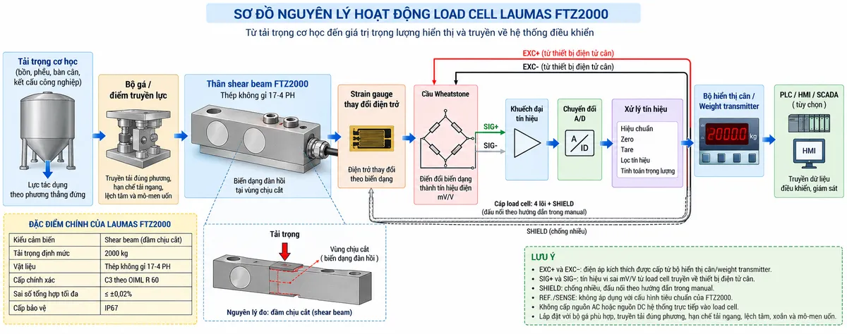 Vẽ sơ đồ nguyên lý hoạt động dạng khối cho Laumas FTZ2000 trên nền trắng, bố cục ngang. Luồng chính gồm: Tải trọng cơ học → Bộ gá hoặc điểm truyền lực → Thân shear beam FTZ2000 bằng thép không gỉ 17-4 PH → Biến dạng đàn hồi tại vùng chịu cắt → Strain gauge thay đổi điện trở → Cầu Wheatstone → Tín hiệu analog vi sai từ load cell → Khuếch đại tín hiệu → Chuyển đổi A/D → Hiệu chuẩn, zero, tare, lọc và tính toán trọng lượng → Bộ hiển thị cân hoặc Weight transmitter → PLC/HMI/SCADA nếu hệ thống yêu cầu. Vẽ EXC+/EXC- từ thiết bị điện tử cân cấp kích thích tới cầu Wheatstone và SIG+/SIG- truyền tín hiệu trở về; REF./SENSE chỉ thể hiện khi cấu hình thực tế hỗ trợ; SHIELD đi theo cáp tín hiệu và đấu theo manual. Thêm khối nhận diện gồm FTZ2000, shear beam, tải danh định 2000 kg, thép không gỉ 17-4 PH, sai số tổng hợp tối đa ±0,02%, cấp bảo vệ IP67 và cấp chính xác C3 theo OIML R 60.