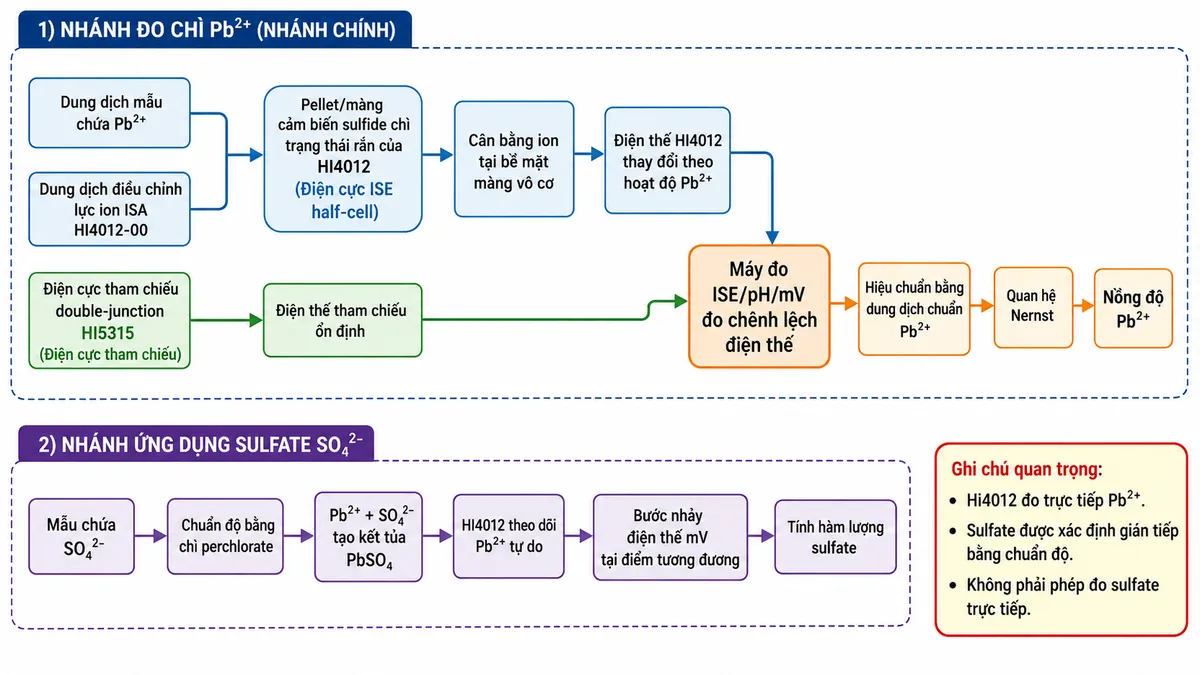 Vẽ sơ đồ nguyên lý hoạt động dạng block diagram kỹ thuật của Hanna HI4012 trên nền trắng, bố cục ngang. Nhánh đo chì bắt đầu từ “Dung dịch mẫu chứa Pb²⁺” + “Dung dịch điều chỉnh lực ion ISA HI4012-00” → “Pellet/màng cảm biến sulfide chì trạng thái rắn của HI4012” → “Cân bằng ion tại bề mặt màng vô cơ” → “Điện thế HI4012 thay đổi theo hoạt độ Pb²⁺”. Tạo nhánh song song “Điện cực tham chiếu double-junction HI5315” → “Điện thế tham chiếu ổn định”; hai nhánh hợp nhất tại “Máy đo ISE/pH/mV đo chênh lệch điện thế” → “Hiệu chuẩn bằng dung dịch chuẩn Pb²⁺” → “Quan hệ Nernst” → “Nồng độ Pb²⁺”. Tạo thêm nhánh ứng dụng sulfate: “Mẫu chứa SO₄²⁻” + “Chuẩn độ bằng chì perchlorate” → “Pb²⁺ + SO₄²⁻ tạo kết tủa PbSO₄” → “HI4012 theo dõi Pb²⁺ tự do” → “Bước nhảy điện thế mV tại điểm tương đương” → “Tính hàm lượng sulfate”. Ghi chú rõ HI4012 đo trực tiếp Pb²⁺; sulfate được xác định gián tiếp bằng chuẩn độ, không phải phép đo sulfate trực tiếp.