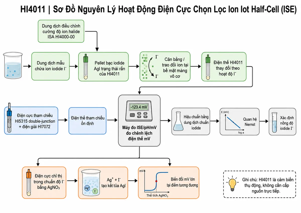 Vẽ sơ đồ nguyên lý hoạt động dạng block diagram kỹ thuật của Hanna HI4011 trên nền trắng, bố cục ngang. Bắt đầu từ khối “Dung dịch mẫu chứa ion iodide I⁻” và nhánh “Dung dịch điều chỉnh cường độ ion halide ISA HI4000-00” → “Pellet bạc iodide AgI trạng thái rắn của HI4011” → “Cân bằng/trao đổi ion tại bề mặt màng vô cơ” → “Điện thế HI4011 thay đổi theo hoạt độ I⁻”. Tạo nhánh song song “Điện cực tham chiếu HI5315 double-junction + điện giải HI7072” → “Điện thế tham chiếu ổn định”. Hai nhánh hợp nhất tại “Máy đo ISE/pH/mV đo chênh lệch điện thế mV” → “Hiệu chuẩn bằng dung dịch chuẩn iodide” → “Quan hệ Nernst” → “Xác định nồng độ iodide I⁻”. Thêm nhánh ứng dụng từ tín hiệu mV tới “Điện cực chỉ thị trong chuẩn độ I⁻ bằng AgNO₃” → “Ag⁺ + I⁻ tạo kết tủa AgI” → “Biến đổi mV lớn tại điểm tương đương”. Ghi chú HI4011 là cảm biến thụ động, không cần cấp nguồn trực tiếp.