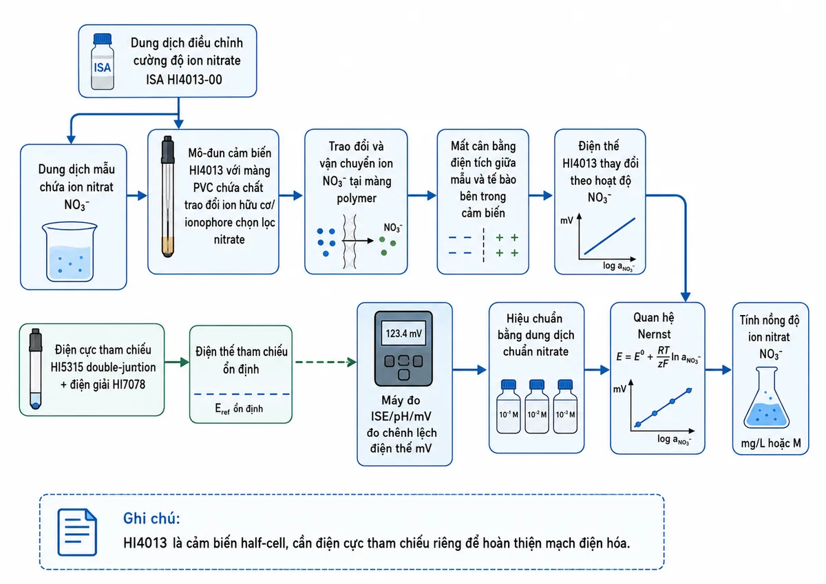 Sơ đồ nguyên lý hoạt động dạng block diagram kỹ thuật của Hanna HI4013 trên nền trắng, bố cục ngang: bắt đầu từ khối “Dung dịch mẫu chứa ion nitrat NO₃⁻” và nhánh “Dung dịch điều chỉnh cường độ ion nitrate ISA HI4013-00” đi tới “Mô-đun cảm biến HI4013 với màng PVC chứa chất trao đổi ion hữu cơ/ionophore chọn lọc nitrate” → “Trao đổi và vận chuyển ion NO₃⁻ tại màng polymer” → “Mất cân bằng điện tích giữa mẫu và tế bào bên trong cảm biến” → “Điện thế HI4013 thay đổi theo hoạt độ NO₃⁻”. Tạo nhánh song song “Điện cực tham chiếu HI5315 double-junction + điện giải HI7078” → “Điện thế tham chiếu ổn định”. Hai nhánh hợp nhất tại “Máy đo ISE/pH/mV đo chênh lệch điện thế mV” → “Hiệu chuẩn bằng dung dịch chuẩn nitrate” → “Quan hệ Nernst” → “Tính nồng độ ion nitrat NO₃⁻”. Ghi chú HI4013 là cảm biến half-cell, cần điện cực tham chiếu riêng để hoàn thiện mạch điện hóa.