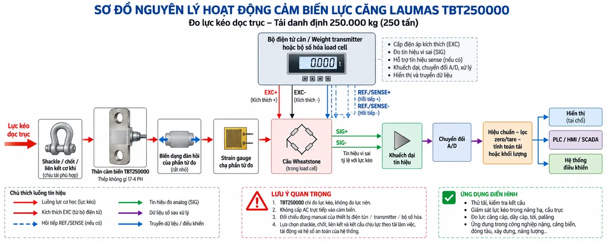 Vẽ sơ đồ nguyên lý hoạt động dạng khối cho Laumas TBT250000 trên nền trắng, bố cục ngang. Luồng chính từ trái sang phải gồm “Lực kéo dọc trục” → “Shackle / chốt / liên kết cơ khí” → “Thân cảm biến TBT250000 – thép không gỉ 17-4 PH” → “Biến dạng đàn hồi của phần tử đo” → “Strain gauge thay đổi điện trở” → “Cầu Wheatstone”. Không minh họa lực nén. Từ bộ điện tử cân phía trên vẽ EXC+/EXC- cấp điện áp kích thích vào cầu Wheatstone; nếu đúng cấu hình cảm biến và thiết bị đọc hỗ trợ thì thể hiện REF./SENSE+ và REF./SENSE- là hai đường hồi tiếp điện áp; từ cầu Wheatstone vẽ SIG+/SIG- là tín hiệu vi sai tỷ lệ với lực kéo đi tới “Khuếch đại tín hiệu” → “Chuyển đổi A/D” → “Hiệu chuẩn – lọc – zero/tare – tính toán tải hoặc khối lượng”. Cuối sơ đồ chia ba nhánh tới “Hiển thị”, “PLC/HMI/SCADA” và “Hệ thống điều khiển”. Dùng màu và mũi tên riêng để phân biệt luồng lực cơ học, excitation, sense, tín hiệu đo analog và dữ liệu số.