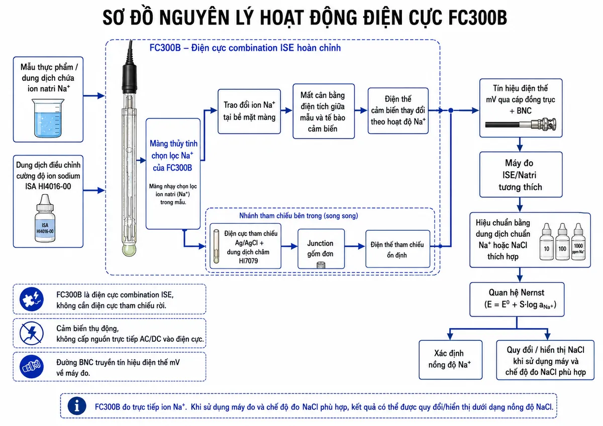 Vẽ sơ đồ nguyên lý hoạt động dạng block diagram kỹ thuật của Hanna FC300B trên nền trắng, bố cục ngang. Bắt đầu từ khối “Mẫu thực phẩm/dung dịch chứa ion natri Na⁺” và nhánh “Dung dịch điều chỉnh cường độ ion sodium ISA HI4016-00” đi tới “Màng thủy tinh chọn lọc Na⁺ của FC300B” → “Trao đổi ion Na⁺ tại bề mặt màng” → “Mất cân bằng điện tích giữa mẫu và tế bào cảm biến” → “Điện thế cảm biến thay đổi theo hoạt độ Na⁺”. Tạo nhánh song song bên trong FC300B gồm “Điện cực tham chiếu Ag/AgCl + dung dịch châm HI7079” → “Junction gốm đơn” → “Điện thế tham chiếu ổn định”. Hai nhánh hợp nhất tại “Tín hiệu điện thế mV qua cáp đồng trục + BNC” → “Máy đo ISE/Natri tương thích” → “Hiệu chuẩn bằng dung dịch chuẩn Na⁺ hoặc NaCl thích hợp” → “Quan hệ Nernst” → tách thành “Xác định nồng độ Na⁺” và “Quy đổi/hiển thị NaCl khi sử dụng máy và chế độ đo NaCl phù hợp”. Ghi chú rõ FC300B là điện cực combination ISE nên không cần điện cực tham chiếu rời, cảm biến thụ động và không cấp nguồn trực tiếp.