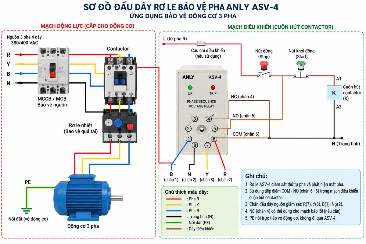 Vẽ sơ đồ đấu dây/kết nối kỹ thuật cho rơ le bảo vệ pha Anly ASV-4 trên nền trắng, bố cục ngang. Bên trái là nguồn điện 3 pha 4 dây R-Y-B-N đi qua MCCB hoặc MCB bảo vệ; lấy các dây giám sát đưa tới ASV-4 8 chân với R vào chân 7, Y vào chân 8, B vào chân 1 và N vào chân 2. Thể hiện rõ ngõ ra relay: COM chân 6, NO chân 5, NC chân 4. Dùng tiếp điểm COM-NO trong mạch điều khiển nối tiếp với cuộn hút contactor; contactor đóng/cắt ba pha mạch động lực cấp cho động cơ 3 pha. Thể hiện bảo vệ quá tải động cơ nếu sử dụng và dây PE nối trực tiếp tới vỏ động cơ, không đi qua ASV-4. Ghi chú LED xanh UP và LED đỏ TRIP; phân biệt rõ mạch động lực và mạch điều khiển, có mũi tên dòng điện và nhãn tiếng Việt.