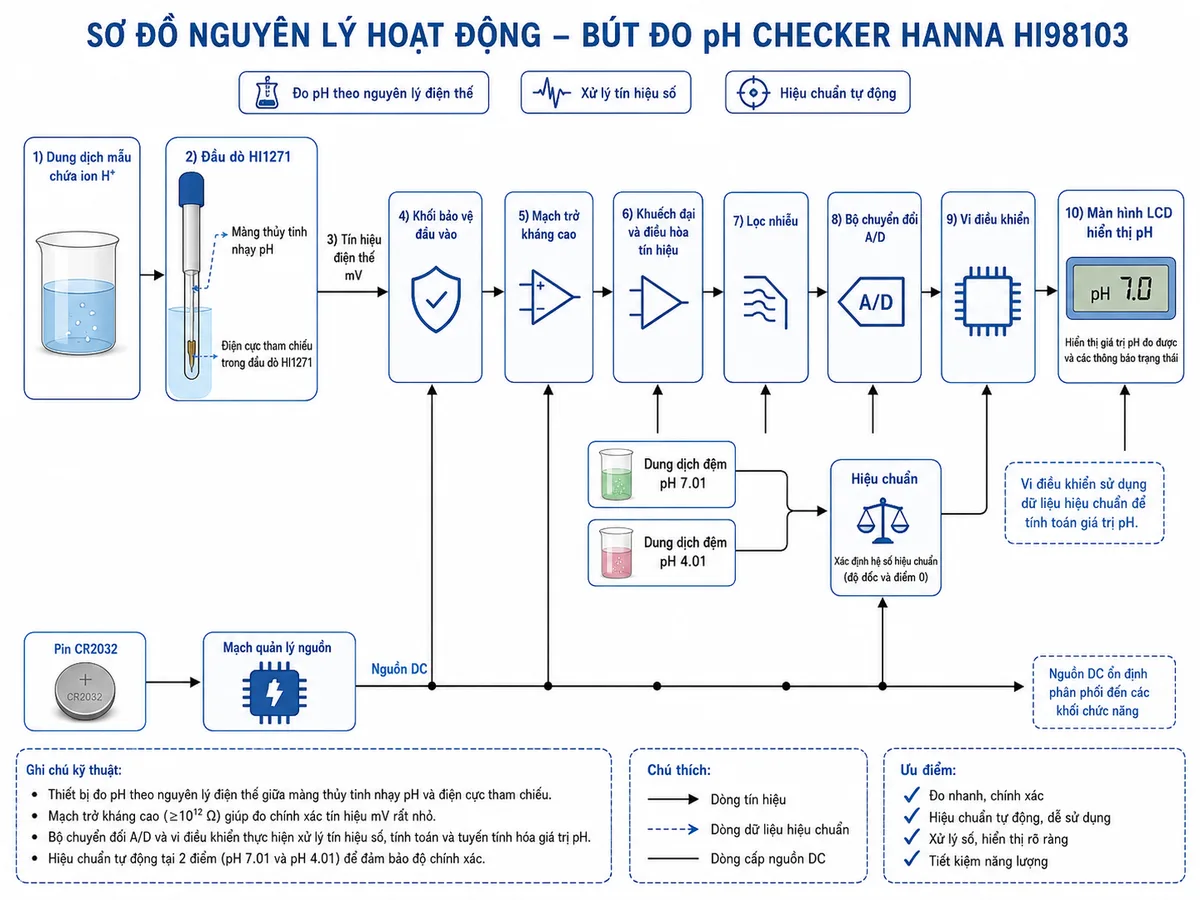 Sơ đồ nguyên lý hoạt động dạng khối của Bút Đo pH Checker Hanna HI98103, nền trắng, bố cục ngang, phong cách kỹ thuật đo lường và nhãn tiếng Việt; luồng chính bắt đầu từ dung dịch mẫu chứa ion H+ đi tới màng thủy tinh nhạy pH và điện cực tham chiếu trong đầu dò HI1271, tạo tín hiệu điện thế mV; tín hiệu tiếp tục qua khối bảo vệ đầu vào, mạch trở kháng cao, khuếch đại và điều hòa tín hiệu, lọc nhiễu, bộ chuyển đổi A/D, vi điều khiển rồi tới màn hình LCD hiển thị pH; bổ sung nhánh hiệu chuẩn từ dung dịch đệm pH 7.01 và pH 4.01 tới vi điều khiển, cùng nhánh nguồn từ pin CR2032 qua mạch quản lý nguồn tới các khối điện tử