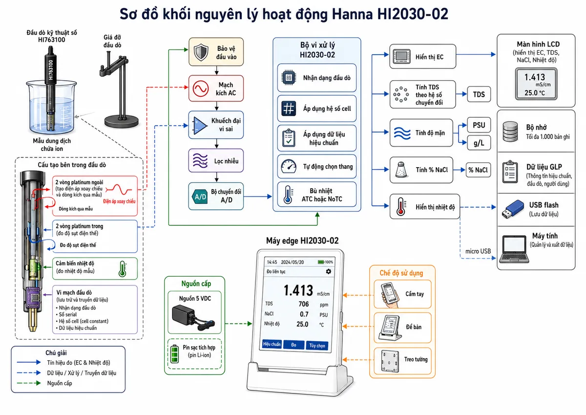 Vẽ sơ đồ khối nguyên lý hoạt động của Hanna HI2030-02 trên nền trắng, bố cục ngang. Luồng bắt đầu từ mẫu dung dịch chứa ion đi vào đầu dò kỹ thuật số HI763100. Bên trong đầu dò thể hiện hai vòng platinum ngoài tạo điện áp xoay chiều và dòng kích qua mẫu, hai vòng platinum trong đo độ sụt điện thế, cảm biến nhiệt độ đo nhiệt độ mẫu và vi mạch đầu dò lưu thông tin nhận dạng, số serial, hệ số cell cùng dữ liệu hiệu chuẩn. Các tín hiệu đi qua khối bảo vệ đầu vào, mạch kích AC, khuếch đại vi sai và lọc nhiễu, bộ chuyển đổi A/D rồi vào bộ vi xử lý HI2030-02. Bộ vi xử lý nhận dạng đầu dò, áp dụng hệ số cell và dữ liệu hiệu chuẩn, tự động chọn thang, thực hiện bù nhiệt ATC hoặc NoTC. Từ giá trị EC chia thành các nhánh: hiển thị EC, tính TDS theo hệ số chuyển đổi, tính độ mặn theo PSU hoặc g/L và tính phần trăm NaCl; cảm biến nhiệt độ tạo nhánh hiển thị nhiệt độ. Đầu ra nối đến màn hình LCD, bộ nhớ ghi tối đa 1.000 bản ghi, dữ liệu GLP, USB flash và máy tính qua micro USB. Thể hiện nguồn 5 VDC, pin sạc và các chế độ sử dụng cầm tay, để bàn hoặc treo tường.