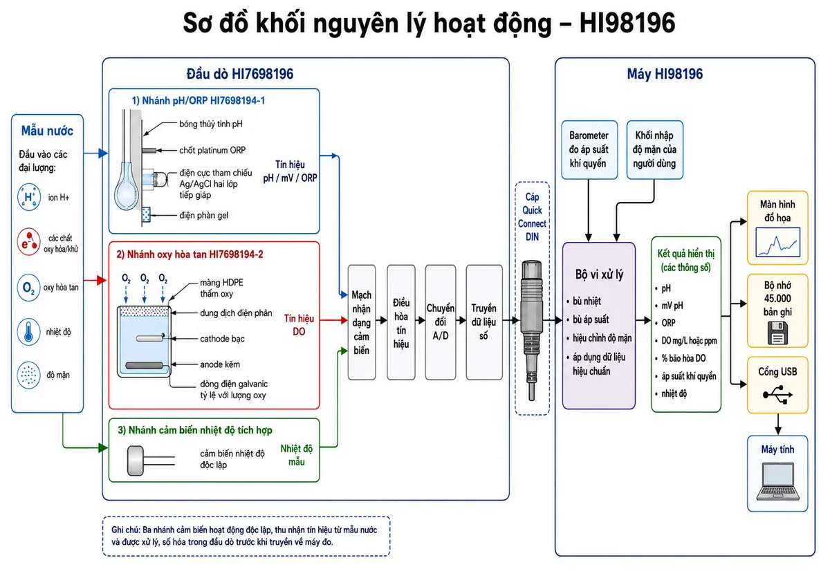 Vẽ sơ đồ khối nguyên lý hoạt động của Hanna HI98196 trên nền trắng, bố cục ngang. Luồng bắt đầu từ mẫu nước chứa ion H+, các chất oxy hóa hoặc khử, oxy hòa tan, nhiệt độ và độ mặn. Chia thành ba nhánh trong đầu dò HI7698196: nhánh pH/ORP HI7698194-1 gồm bóng thủy tinh pH, chốt platinum ORP, điện cực tham chiếu Ag/AgCl hai lớp tiếp giáp và điện phân gel; nhánh oxy hòa tan HI7698194-2 gồm màng HDPE thấm oxy, dung dịch điện phân, cathode bạc, anode kẽm và dòng điện galvanic tỷ lệ với lượng oxy; nhánh cảm biến nhiệt độ tích hợp. Các tín hiệu đi qua mạch nhận dạng cảm biến, điều hòa tín hiệu, chuyển đổi A/D và truyền dữ liệu số qua cáp Quick Connect DIN đến máy HI98196. Trong máy thể hiện barometer đo áp suất khí quyển và khối nhập độ mặn của người dùng; các dữ liệu đi vào bộ vi xử lý để bù nhiệt, bù áp suất, hiệu chỉnh độ mặn và áp dụng dữ liệu hiệu chuẩn. Đầu ra gồm pH, mV pH, ORP, DO mg/L hoặc ppm, % bão hòa DO, áp suất khí quyển và nhiệt độ; tiếp theo là màn hình đồ họa, bộ nhớ 45.000 bản ghi và cổng USB truyền dữ liệu sang máy tính.