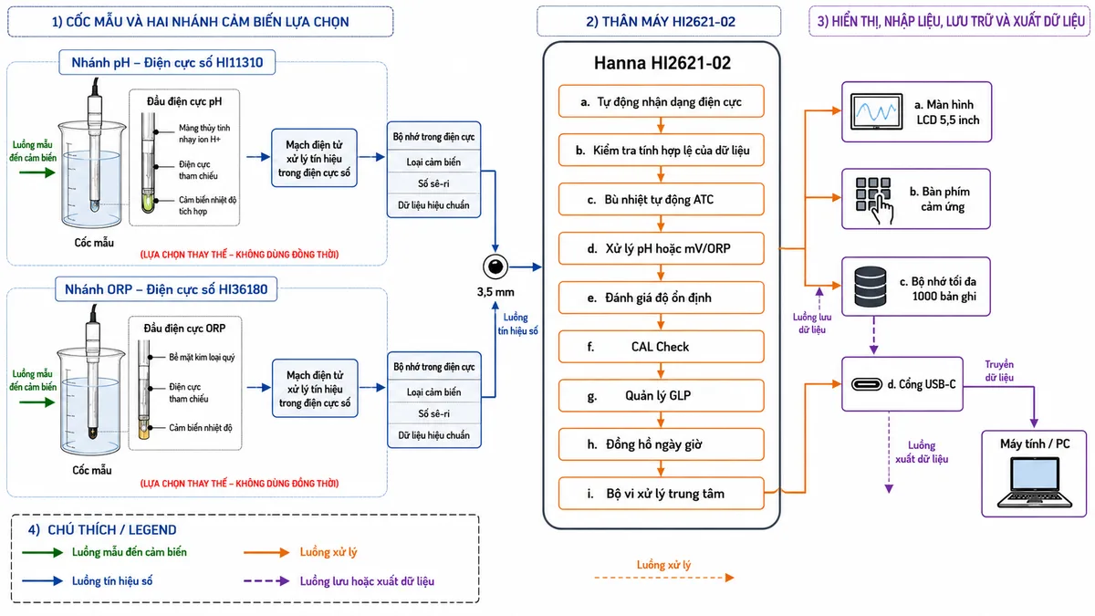 Vẽ sơ đồ khối nguyên lý hoạt động của máy đo pH/ORP để bàn Hanna HI2621-02 trên nền trắng, bố cục ngang. Bên trái thể hiện cốc mẫu với hai nhánh cảm biến lựa chọn: nhánh pH gồm màng thủy tinh nhạy ion H+, điện cực tham chiếu và cảm biến nhiệt độ tích hợp của HI11310; nhánh ORP gồm bề mặt kim loại quý, điện cực tham chiếu và cảm biến nhiệt độ của HI36180. Hai nhánh đi qua mạch điện tử xử lý tín hiệu đặt trong điện cực số, bộ nhớ chứa loại cảm biến, số sê-ri và dữ liệu hiệu chuẩn, rồi truyền qua đầu nối 3,5 mm vào HI2621-02. Bên trong thân máy thể hiện các khối: tự động nhận dạng điện cực, kiểm tra tính hợp lệ của dữ liệu, bù nhiệt tự động ATC, xử lý pH hoặc mV/ORP, đánh giá độ ổn định, CAL Check, quản lý GLP và đồng hồ ngày giờ. Từ bộ vi xử lý tách các nhánh tới màn hình LCD 5,5 inch, bàn phím cảm ứng, bộ nhớ tối đa 1000 bản ghi và cổng USB-C truyền dữ liệu tới máy tính. Dùng mũi tên thể hiện rõ luồng mẫu đến cảm biến, luồng tín hiệu số, luồng xử lý và luồng lưu hoặc xuất dữ liệu.