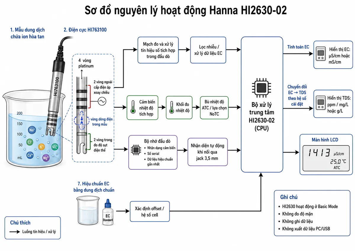 Vẽ sơ đồ nguyên lý hoạt động của Hanna HI2630-02 trên nền trắng: mẫu dung dịch chứa các ion hòa tan → điện cực HI763100 bốn vòng platinum; hai vòng ngoài cấp điện áp xoay chiều tạo vòng dòng điện trong mẫu → hai vòng trong đo độ sụt điện thế → mạch đo và xử lý tín hiệu số tích hợp trong đầu dò → lọc nhiễu và dữ liệu EC. Đồng thời thể hiện cảm biến nhiệt độ tích hợp trong HI763100 → khối đo nhiệt độ → khối bù nhiệt độ tự động hoặc lựa chọn NoTC. Thể hiện bộ nhớ đầu dò chứa nhận dạng cảm biến, số serial và dữ liệu hiệu chuẩn gần nhất → nhận diện tự động khi nối qua jack 3,5 mm → bộ xử lý trung tâm HI2630-02. Từ CPU chia thành nhánh tính và hiển thị EC theo µS/cm hoặc mS/cm, nhánh chuyển đổi EC sang TDS theo hệ số cài đặt để hiển thị ppm/mg/L hoặc g/L, và màn hình LCD. Thể hiện thêm khối hiệu chuẩn EC bằng dung dịch chuẩn → xác định offset/hệ số cell → CPU. Ghi chú HI2630 hoạt động Basic Mode, không đo độ mặn, không ghi dữ liệu và không xuất dữ liệu PC/USB.