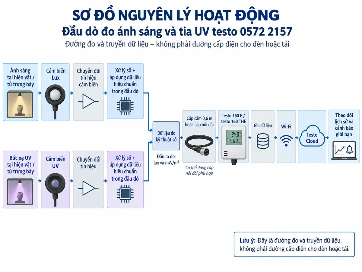 Vẽ sơ đồ nguyên lý hoạt động dạng khối của đầu dò testo 0572 2157 trên nền trắng, bố cục ngang, chú thích tiếng Việt. Luồng đầu tiên: ánh sáng tại hiện vật hoặc tủ trưng bày → cảm biến Lux → chuyển đổi tín hiệu cảm biến → xử lý số và áp dụng dữ liệu hiệu chuẩn trong đầu dò. Luồng thứ hai: bức xạ UV tại hiện vật → cảm biến UV → chuyển đổi tín hiệu → xử lý số và áp dụng dữ liệu hiệu chuẩn trong đầu dò. Hai luồng hội tụ thành dữ liệu đo kỹ thuật số → cáp cắm 0,6 m hoặc cáp nối dài → testo 160 E/testo 160 THE → ghi dữ liệu → Wi-Fi → Testo Cloud → theo dõi lịch sử và cảnh báo giới hạn. Ghi rõ các giá trị đầu ra là lux và mW/m²; đây là đường đo và truyền dữ liệu, không phải đường cấp điện cho đèn hay tải.