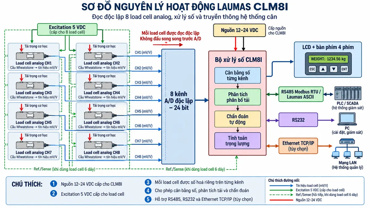 Sơ đồ nguyên lý hoạt động của Laumas CLM8I trên nền trắng, bố cục ngang, chú thích tiếng Việt. Bên trái là 8 khối “Load cell analog CH1…CH8”, trên mỗi load cell có mũi tên “Tải trọng cơ học”; bên dưới ghi “Cầu Wheatstone → tín hiệu mV/V”. Các tín hiệu đi riêng biệt vào khối trung tâm “8 kênh A/D độc lập – 24 bit”, sau đó tới “Bộ xử lý số CLM8I”. Trong bộ xử lý chia thành các khối “Cân bằng số từng kênh”, “Phân tích phân bố tải”, “Chẩn đoán tự động” và “Tính toán trọng lượng”. Từ bộ xử lý đưa kết quả tới “LCD + bàn phím 4 phím”, đồng thời chia ra “RS485 Modbus RTU/Laumas ASCII”, “RS232” và “Ethernet TCP/IP tùy chọn”. Phía trên thể hiện khối “Nguồn 12–24 VDC” cấp cho CLM8I, từ mạch nguồn tạo “Excitation 5 VDC” phân phối tới các load cell. Nếu dùng hệ 6 dây, thể hiện đường Ref./Sense hồi tiếp để giám sát điện áp kích thích. Dùng mũi tên rõ chiều từ tải → load cell → A/D → xử lý số → hiển thị/truyền thông, đồng thời chỉ rõ mỗi kênh được đọc độc lập chứ không ghép song song trước bộ A/D.