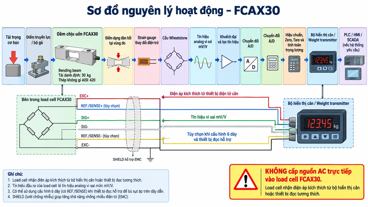 Vẽ sơ đồ nguyên lý hoạt động dạng khối cho Laumas FCAX30 trên nền trắng, bố cục ngang. Luồng chính gồm: Tải trọng cơ học → Điểm truyền lực/bộ gá → Dầm chịu uốn FCAX30 bằng thép không gỉ AISI 420 → Biến dạng đàn hồi tại vùng đo → Strain gauge thay đổi điện trở → Cầu Wheatstone → Tín hiệu analog vi sai mV/V → Khuếch đại và lọc tín hiệu → Chuyển đổi A/D → Hiệu chuẩn, zero, tare và tính toán trọng lượng → Bộ hiển thị cân hoặc Weight transmitter → PLC/HMI/SCADA nếu hệ thống yêu cầu. Vẽ EXC+/EXC- từ thiết bị điện tử cân cấp điện áp kích thích tới cầu Wheatstone và SIG+/SIG- từ cầu Wheatstone truyền tín hiệu trở về; vẽ REF./SENSE+/REF./SENSE- dưới dạng đường hồi tiếp tùy chọn khi cấu hình 6 dây và thiết bị đọc hỗ trợ. Thể hiện SHIELD đi cùng cáp tín hiệu để hỗ trợ EMC. Ghi rõ FCAX30 là bending beam tải danh định 30 kg và không cấp nguồn AC trực tiếp vào load cell.