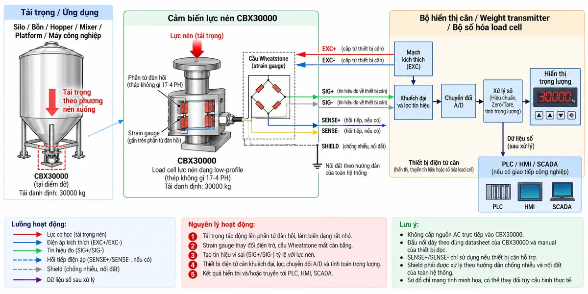 Vẽ sơ đồ nguyên lý hoạt động dạng khối cho cảm biến lực nén Laumas CBX30000 trên nền trắng, bố cục ngang. Bắt đầu từ tải trọng của silo, bồn, hopper, mixer, platform hoặc máy truyền xuống điểm đỡ và tác động lực nén lên CBX30000 tải danh định 30000 kg. Bên trong cảm biến thể hiện phần tử đàn hồi bằng thép không gỉ 17-4 PH và các strain gauge mắc thành cầu Wheatstone. Từ bộ hiển thị cân hoặc weight transmitter thể hiện EXC+/EXC- cấp điện áp kích thích tới cầu đo; nếu cấu hình thực tế hỗ trợ SENSE/REF thì thể hiện đường hồi tiếp điện áp về thiết bị đọc. Khi tải thay đổi, phần tử đàn hồi biến dạng làm điện trở strain gauge thay đổi và tạo tín hiệu vi sai SIG+/SIG-. Tín hiệu tiếp tục qua khối khuếch đại và lọc, chuyển đổi A/D, hiệu chuẩn, Zero/Tare, tính toán trọng lượng hoặc lực rồi tới màn hình hiển thị. Nếu bộ điện tử cân hỗ trợ giao tiếp công nghiệp, thêm nhánh dữ liệu số sau xử lý tới PLC/HMI/SCADA. Dùng mũi tên và chú thích tiếng Việt để phân biệt luồng lực cơ học, điện áp kích thích, tín hiệu đo và dữ liệu số sau xử lý.