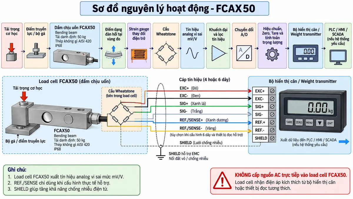 Vẽ sơ đồ nguyên lý hoạt động dạng khối cho Laumas FCAX50 trên nền trắng, bố cục ngang. Luồng chính gồm: Tải trọng cơ học → Điểm truyền lực hoặc bộ gá → Dầm chịu uốn FCAX50 bằng thép không gỉ AISI 420 → Biến dạng đàn hồi tại vùng đo → Strain gauge thay đổi điện trở → Cầu Wheatstone → Tín hiệu analog vi sai từ load cell → Khuếch đại và lọc tín hiệu → Chuyển đổi A/D → Hiệu chuẩn, Zero, Tare và tính toán trọng lượng → Bộ hiển thị cân hoặc Weight transmitter → PLC/HMI/SCADA nếu hệ thống yêu cầu. Vẽ EXC+/EXC- từ thiết bị điện tử cân cấp điện áp kích thích tới cầu Wheatstone và SIG+/SIG- truyền tín hiệu trở về; REF./SENSE+/REF./SENSE- chỉ thể hiện là đường hồi tiếp tùy chọn khi cấu hình thực tế hỗ trợ. Thể hiện SHIELD đi cùng cáp để hỗ trợ EMC. Ghi rõ FCAX50 là bending beam tải danh định 50 kg, thân AISI 420, IP68 và không cấp nguồn AC trực tiếp vào load cell.