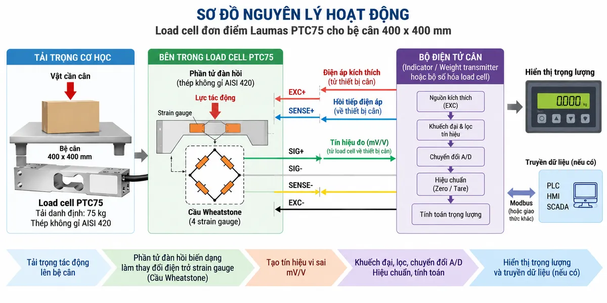 Vẽ sơ đồ nguyên lý hoạt động dạng khối cho Laumas PTC75 trên nền trắng, bố cục ngang. Bắt đầu từ vật cần cân hoặc tải trọng cơ học tác động xuống bệ cân 400 x 400 mm; lực truyền tới load cell single-point PTC75 tải danh định 75 kg. Bên trong cảm biến thể hiện phần tử đàn hồi bằng thép không gỉ AISI 420 và bốn strain gauge mắc thành cầu Wheatstone. Từ bộ hiển thị cân hoặc weight transmitter vẽ nhánh EXC+/EXC- cấp điện áp kích thích vào cầu đo và SENSE+/SENSE- hồi tiếp điện áp kích thích về thiết bị đọc. Khi tải tác động, phần tử đàn hồi biến dạng làm điện trở strain gauge thay đổi và tạo tín hiệu vi sai SIG+/SIG- dạng mV/V. Tín hiệu tiếp tục qua khối khuếch đại và lọc, chuyển đổi A/D, hiệu chuẩn/Zero/Tare, tính toán trọng lượng rồi tới màn hình hiển thị. Nếu bộ điện tử cân hỗ trợ giao tiếp công nghiệp thì thêm nhánh dữ liệu đã xử lý tới PLC/HMI/SCADA. Phân biệt rõ bằng mũi tên và chú thích tiếng Việt cho luồng lực cơ học, điện áp kích thích, hồi tiếp sense, tín hiệu đo mV/V và dữ liệu số sau xử lý.