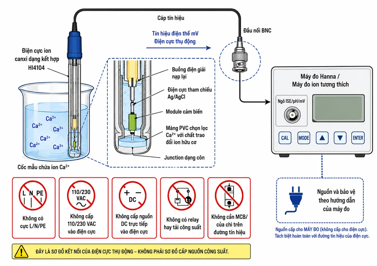 Vẽ sơ đồ đấu dây/kết nối kỹ thuật của điện cực ion canxi dạng kết hợp Hanna HI4104 trên nền trắng, bố cục ngang. Bên trái thể hiện cốc mẫu có ion Ca²⁺ và đầu điện cực HI4104 nhúng trong mẫu; bên trong điện cực ghi rõ màng PVC chọn lọc Ca²⁺ với chất trao đổi ion hữu cơ, module cảm biến, điện cực tham chiếu Ag/AgCl, buồng điện giải nạp lại và junction dạng côn. Từ điện cực đi ra cáp tín hiệu tới đầu nối BNC, sau đó nối trực tiếp vào ngõ ISE/pH/mV của máy đo Hanna hoặc máy đo ion tương thích. Thể hiện rõ HI4104 chỉ truyền tín hiệu điện thế mV, là điện cực thụ động, không có cực L/N/PE, không cấp 110/230 VAC hoặc nguồn DC trực tiếp vào điện cực, không có relay hay tải công suất và không cần MCB/cầu chì trên đường tín hiệu. Nếu minh họa nguồn của máy đo thì đặt thành một khối riêng ghi “Nguồn và bảo vệ theo hướng dẫn của máy đo”, không nối nguồn này vào HI4104.