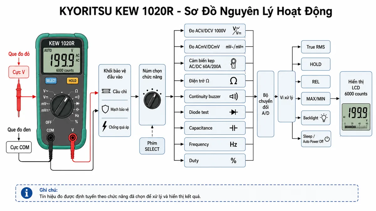 Sơ đồ nguyên lý hoạt động của KYORITSU KEW 1020R: thể hiện luồng tín hiệu từ que đo đỏ/đen vào cực V và COM, qua khối bảo vệ đầu vào, qua núm chọn chức năng và phím SELECT; tách thành các khối đo ACV/DCV 1000V, ACmV/DCmV, cảm biến kẹp AC/DC 60A/200A, điện trở Ω, continuity buzzer, diode test, capacitance, frequency và duty; sau đó đưa vào bộ chuyển đổi A/D, vi xử lý, các chức năng True RMS, HOLD, REL, MAX/MIN, backlight, sleep/auto power off và hiển thị LCD 6000 counts; bố cục ngang, nền trắng, mũi tên luồng hoạt động rõ ràng.