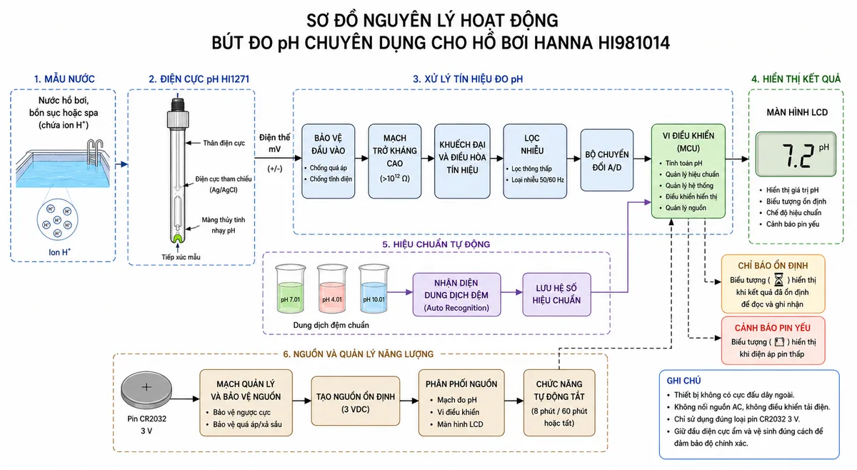 Vẽ sơ đồ nguyên lý hoạt động dạng khối của Bút Đo pH Chuyên Dụng Cho Hồ Bơi Hanna HI981014, nền trắng, bố cục ngang, phong cách kỹ thuật đo lường và nhãn tiếng Việt; luồng chính bắt đầu từ mẫu nước hồ bơi, bồn sục hoặc spa chứa ion H+ đi tới màng thủy tinh nhạy pH và hệ điện cực tham chiếu trong đầu dò HI1271, tạo tín hiệu điện thế mV; tín hiệu tiếp tục qua khối bảo vệ đầu vào, mạch trở kháng cao, khuếch đại và điều hòa tín hiệu, lọc nhiễu, bộ chuyển đổi A/D, vi điều khiển rồi tới màn hình LCD hiển thị pH; bổ sung nhánh hiệu chuẩn tự động từ dung dịch đệm pH 7.01 và pH 4.01 hoặc pH 10.01 tới vi điều khiển, nhánh chỉ báo ổn định và cảnh báo pin yếu, cùng nhánh nguồn từ pin CR2032 qua mạch quản lý nguồn và chức năng tự động tắt.