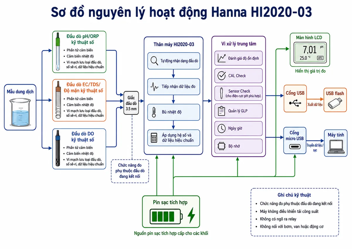 Vẽ sơ đồ nguyên lý hoạt động dạng khối của Hanna HI2020-03 trên nền trắng, bố cục ngang và nhãn tiếng Việt. Luồng bắt đầu từ mẫu dung dịch và chia thành các lựa chọn đầu dò kỹ thuật số edge: đầu dò pH/ORP, đầu dò EC/TDS/độ mặn hoặc đầu dò DO, mỗi đầu dò gồm phần tử cảm biến, cảm biến nhiệt độ và vi mạch lưu loại đầu dò, số sê-ri cùng dữ liệu hiệu chuẩn. Tín hiệu đi qua giắc 3.5 mm đến khối tự động nhận dạng đầu dò của HI2020-03, tiếp theo là khối tiếp nhận dữ liệu đo, bù nhiệt độ, áp dụng hệ số và dữ liệu hiệu chuẩn. Sau đó là vi xử lý với các khối đánh giá độ ổn định, CAL Check, Sensor Check dành cho điện cực pH phù hợp, quản lý GLP, ngày giờ và bộ nhớ. Đầu ra chia thành màn hình LCD, cổng USB tới USB flash và cổng micro USB tới máy tính. Thể hiện nguồn pin sạc tích hợp cấp cho các khối và mũi tên luồng dữ liệu rõ ràng; ghi chú chức năng đo phụ thuộc đầu dò đang kết nối và máy không điều khiển tải công suất.