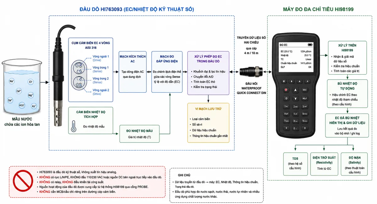 Sơ đồ nguyên lý hoạt động dạng block diagram kỹ thuật của Hanna HI763093 trên nền trắng, bố cục ngang: mẫu nước chứa các ion hòa tan → cụm cảm biến EC 4 vòng AISI 316 của HI763093 → mạch kích thích và đo đáp ứng điện của dung dịch → xử lý phép đo EC bên trong đầu dò kỹ thuật số → vi mạch lưu loại cảm biến, số sê-ri và dữ liệu hiệu chuẩn → truyền dữ liệu số qua cáp và Waterproof Quick Connect DIN → máy HI98199 → xử lý, hiển thị và ghi dữ liệu EC. Tạo nhánh song song từ cảm biến nhiệt độ tích hợp → đo nhiệt độ mẫu → khối bù nhiệt độ tự động → giá trị EC đã bù nhiệt. Từ EC tạo các nhánh xử lý trên HI98199 gồm TDS, điện trở suất và độ mặn theo cấu hình máy. Thể hiện rõ đầu dò không xuất tín hiệu relay và không điều khiển tải công suất.