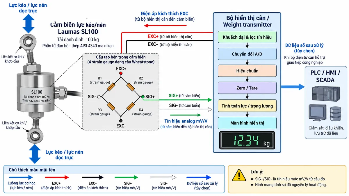 Vẽ sơ đồ nguyên lý hoạt động dạng khối cho cảm biến lực kéo/nén Laumas SL100 trên nền trắng, bố cục ngang. Bắt đầu từ lực kéo hoặc lực nén dọc trục truyền qua hai liên kết cơ khí/khớp cầu vào phần tử đàn hồi của SL100. Bên trong cảm biến thể hiện phần tử đàn hồi bằng thép AISI 4340 mạ niken và bốn strain gauge mắc thành cầu Wheatstone. Bộ hiển thị cân hoặc weight transmitter cấp EXC+ màu đỏ và EXC- màu đen tới cầu đo; khi tải làm phần tử đàn hồi biến dạng, điện trở strain gauge thay đổi và cầu Wheatstone sinh tín hiệu vi sai SIG+ màu xanh lá và SIG- màu trắng dạng mV/V. Tín hiệu đi tiếp qua các khối khuếch đại và lọc tín hiệu, chuyển đổi A/D, hiệu chuẩn, Zero/Tare, tính toán lực hoặc trọng lượng rồi tới màn hình hiển thị. Từ khối xử lý thêm nhánh dữ liệu số tới PLC/HMI/SCADA nếu bộ điện tử cân hỗ trợ giao tiếp công nghiệp. Dùng mũi tên và chú thích tiếng Việt để phân biệt luồng lực cơ học, điện áp kích thích EXC, tín hiệu analog mV/V và dữ liệu số sau xử lý.
