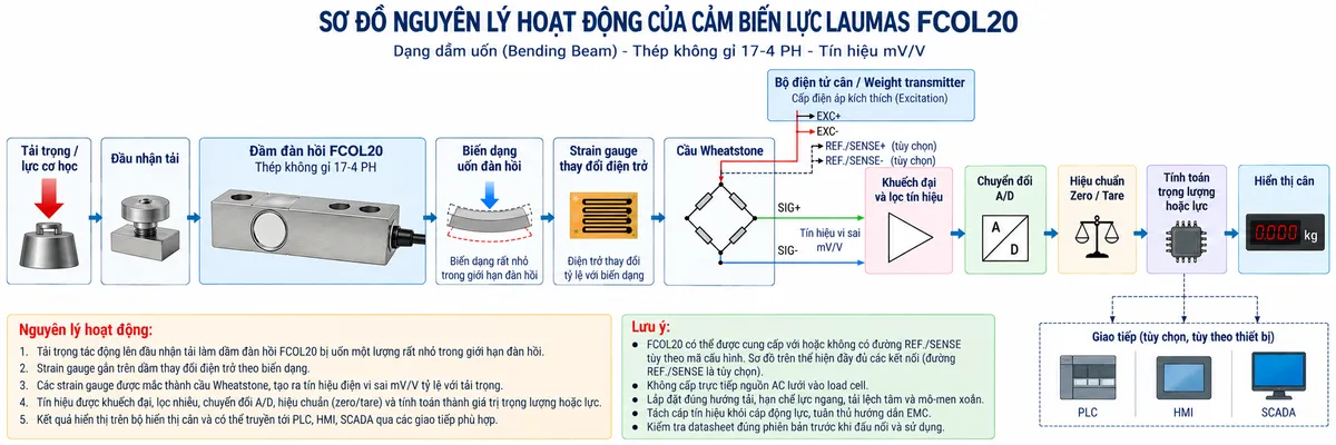 Vẽ sơ đồ nguyên lý hoạt động dạng khối cho Laumas FCOL20 trên nền trắng, bố cục ngang. Thể hiện luồng từ trái sang phải: “Tải trọng / lực cơ học” → “Đầu nhận tải” → “Dầm đàn hồi FCOL20 bằng thép không gỉ 17-4 PH” → “Biến dạng uốn đàn hồi” → “Strain gauge thay đổi điện trở” → “Cầu Wheatstone”. Từ khối “Bộ điện tử cân / Weight transmitter” vẽ EXC+ và EXC- cấp điện áp kích thích tới cầu Wheatstone; nếu đúng cấu hình FCOL20 có đường sense thì thể hiện REF./SENSE+ và REF./SENSE- dưới dạng tùy chọn. Từ cầu Wheatstone vẽ SIG+ và SIG- mang tín hiệu vi sai mV/V → “Khuếch đại và lọc tín hiệu” → “Chuyển đổi A/D” → “Hiệu chuẩn / Zero / Tare” → “Tính toán trọng lượng hoặc lực” → “Hiển thị cân”. Từ khối xử lý vẽ các nhánh tùy chọn tới PLC, HMI và SCADA khi sử dụng weight transmitter hoặc thiết bị cân có giao tiếp tương thích. Bổ sung chú thích nguyên lý: tải làm dầm FCOL20 biến dạng rất nhỏ; strain gauge chuyển biến dạng thành thay đổi điện trở; cầu Wheatstone tạo tín hiệu điện tỷ lệ với tải.