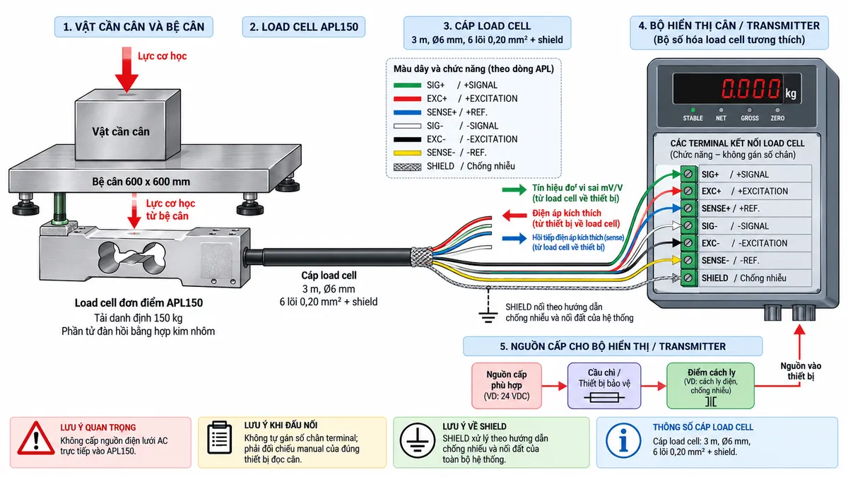 Vẽ sơ đồ đấu dây/kết nối kỹ thuật cho cảm biến load cell đơn điểm Laumas APL150 trên nền trắng, bố cục ngang. Bên trái thể hiện vật cần cân tác động xuống bệ cân 600 x 600 mm; lực truyền tới load cell single-point APL150 tải danh định 150 kg, phần tử đàn hồi bằng hợp kim nhôm ở giữa. Từ APL150 vẽ cáp dài 3 m, đường kính 6 mm, gồm 6 lõi 0,20 mm² và shield sang bộ hiển thị cân, weight transmitter hoặc bộ số hóa load cell tương thích ở bên phải. Thể hiện theo sơ đồ dây dòng APL: +SIGNAL/SIG+ màu xanh lá, +EXCITATION/EXC+ màu đỏ, +REF./SENSE/SENSE+ màu xanh dương, -SIGNAL/SIG- màu trắng, -EXCITATION/EXC- màu đen, -REF./SENSE/SENSE- màu vàng và SHIELD. Vẽ EXC+/EXC- theo chiều từ thiết bị điện tử cân tới load cell để cấp điện áp kích thích; SIG+/SIG- theo chiều từ load cell về thiết bị xử lý để truyền tín hiệu vi sai mV/V; SENSE+/SENSE- theo chiều hồi tiếp điện áp kích thích về thiết bị đọc. Vẽ riêng nguồn cấp phù hợp cho bộ hiển thị hoặc transmitter đi qua cầu chì hoặc thiết bị bảo vệ và điểm cách ly trước khi vào thiết bị. Ghi rõ không cấp nguồn điện lưới AC trực tiếp vào APL150; không tự gán số chân terminal mà phải đối chiếu manual của đúng thiết bị đọc cân; shield phải xử lý theo hướng dẫn chống nhiễu và nối đất của toàn bộ hệ thống. Dùng mũi tên và chú thích tiếng Việt để phân biệt luồng lực cơ học, điện áp kích thích, tín hiệu đo, hồi tiếp sense và shield.