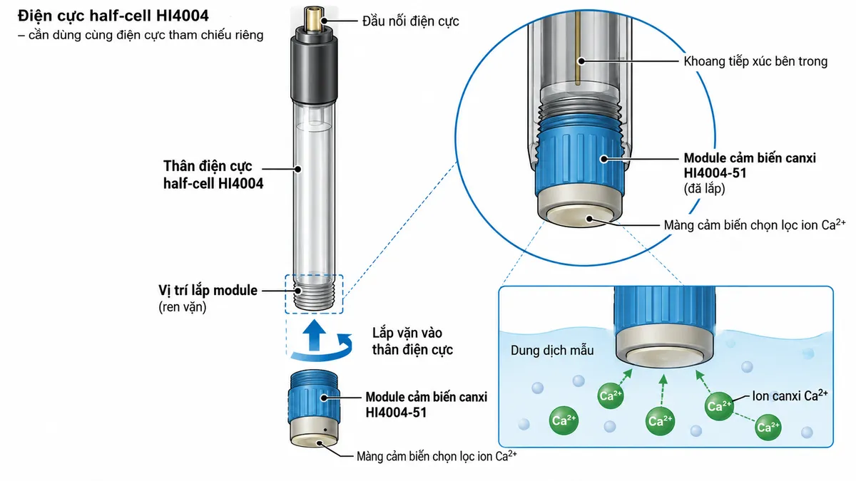 Sơ đồ cấu tạo và vị trí lắp module cảm biến canxi HI4004-51 vào thân điện cực half-cell ISE Hanna HI4004