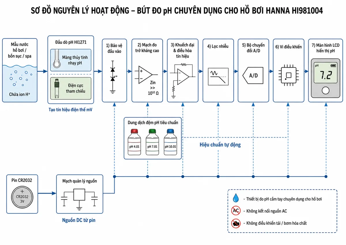 Sơ đồ nguyên lý hoạt động dạng khối của Bút Đo pH Chuyên Dụng Cho Hồ Bơi Hanna HI981004, nền trắng, bố cục ngang, phong cách kỹ thuật đo lường và nhãn tiếng Việt; luồng chính bắt đầu từ mẫu nước hồ bơi, bồn sục hoặc spa chứa ion H+ đi tới màng thủy tinh nhạy pH và điện cực tham chiếu trong đầu dò HI1271 để tạo tín hiệu điện thế mV; tín hiệu đi qua khối bảo vệ đầu vào, mạch đo trở kháng cao, khuếch đại và điều hòa tín hiệu, lọc nhiễu, bộ chuyển đổi A/D, vi điều khiển rồi tới màn hình LCD hiển thị pH; bổ sung nhánh hiệu chuẩn tự động từ dung dịch đệm pH tiêu chuẩn tới vi điều khiển và nhánh nguồn từ pin CR2032 qua mạch quản lý nguồn tới các khối điện tử