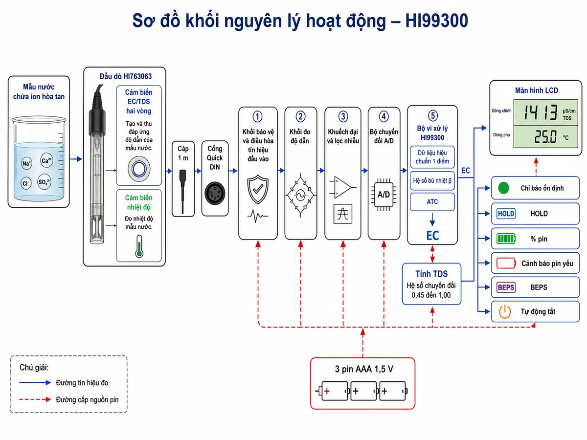 Vẽ sơ đồ khối nguyên lý hoạt động của Hanna HI99300 trên nền trắng, bố cục ngang. Luồng bắt đầu từ mẫu nước chứa ion hòa tan đi vào đầu dò HI763063; bên trong đầu dò thể hiện cảm biến EC/TDS hai vòng tạo và thu đáp ứng độ dẫn cùng cảm biến nhiệt độ đo nhiệt độ mẫu. Tín hiệu đi qua cáp 1 m và cổng Quick DIN, khối bảo vệ và điều hòa tín hiệu đầu vào, khối đo độ dẫn, khuếch đại và lọc nhiễu, bộ chuyển đổi A/D rồi vào bộ vi xử lý HI99300. Bộ vi xử lý áp dụng dữ liệu hiệu chuẩn một điểm, hệ số bù nhiệt β và chức năng ATC để tạo giá trị EC; từ EC tách nhánh tính TDS bằng hệ số chuyển đổi điều chỉnh từ 0,45 đến 1,00. Đầu ra hiển thị EC hoặc TDS trên dòng chính và nhiệt độ trên dòng phụ của màn hình LCD; bổ sung các khối chỉ báo ổn định, HOLD, phần trăm pin, cảnh báo pin yếu, hệ thống BEPS và tự động tắt. Thể hiện nguồn 3 pin AAA cấp cho toàn bộ mạch bằng đường nguồn riêng.
