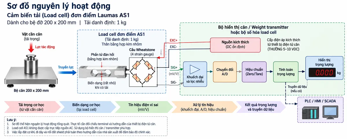 Vẽ sơ đồ nguyên lý hoạt động dạng khối cho Laumas AS1 trên nền trắng, bố cục ngang. Bắt đầu từ vật cần cân/tải trọng cơ học tác động xuống bệ cân 200 x 200 mm; lực truyền vào load cell single-point AS1 tải danh định 1 kg. Bên trong load cell thể hiện phần tử đàn hồi bằng hợp kim nhôm và bốn strain gauge mắc thành cầu Wheatstone. Từ bộ hiển thị cân hoặc weight transmitter vẽ nhánh điện áp kích thích EXC+/EXC- cấp vào cầu đo. Khi tải tác động, phần tử đàn hồi biến dạng làm điện trở strain gauge thay đổi và sinh tín hiệu vi sai SIG+/SIG- dạng mV/V. Tín hiệu đi qua khối khuếch đại và lọc, khối chuyển đổi A/D, khối hiệu chuẩn/Zero/Tare, khối tính toán trọng lượng rồi tới màn hình hiển thị. Nếu thiết bị điện tử cân hỗ trợ, vẽ thêm nhánh dữ liệu sau xử lý tới PLC/HMI/SCADA. Phân biệt rõ bằng mũi tên và chú thích tiếng Việt cho luồng lực cơ học, điện áp kích thích, tín hiệu đo và dữ liệu sau xử lý.