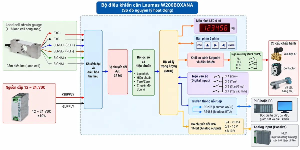 Sơ đồ nguyên lý hoạt động Laumas W200BOXANA trên nền trắng dạng ngang: phía trái là load cell strain gauge và nguồn kích thích EXC+/EXC-, tín hiệu SIGNAL+/SIGNAL- cùng REF/SENSE đi vào khối khuếch đại và điều hòa tín hiệu; tiếp theo là bộ chuyển đổi A/D 24 bit, bộ lọc số, hiệu chuẩn và bộ xử lý trọng lượng; từ bộ xử lý chia thành các nhánh: màn hình LED 6 số và bàn phím 5 phím; khối so sánh setpoint điều khiển các relay output tới van, contactor, vít tải hoặc cơ cấu định lượng; khối digital input nhận lệnh zero, tare, net/gross hoặc chức năng được cấu hình; khối truyền thông RS232/RS485 Modbus RTU/Laumas ASCII tới PLC-PC; và khối DAC/ngõ ra analog 16 bit tạo 0/4–20 mA, 0/5/10 V hoặc ±5/10 V tới analog input thụ động của PLC; dùng mũi tên rõ ràng thể hiện luồng từ load cell → A/D → xử lý → hiển thị, relay, truyền thông và analog output.