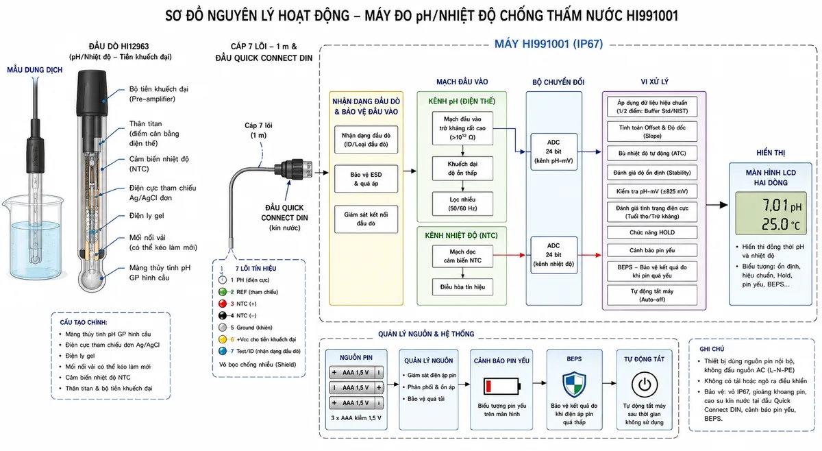 Vẽ sơ đồ nguyên lý hoạt động dạng khối của Hanna HI991001 trên nền trắng, bố cục ngang và nhãn tiếng Việt. Luồng bắt đầu từ mẫu dung dịch đi vào đầu dò HI12963 gồm màng thủy tinh pH GP hình cầu, điện cực tham chiếu đơn Ag/AgCl, điện ly gel, mối nối vải kéo làm mới, cảm biến nhiệt độ, thân titan làm điểm cân bằng điện thế và bộ tiền khuếch đại. Tách hai đường tín hiệu pH và nhiệt độ, truyền qua cáp 7 lõi dài 1 m cùng đầu Quick Connect DIN tới khối nhận dạng đầu dò và bảo vệ đầu vào của HI991001. Tiếp theo thể hiện mạch đầu vào trở kháng cao cho pH, mạch đọc cảm biến nhiệt độ, điều hòa tín hiệu, lọc nhiễu và bộ chuyển đổi ADC. Sau ADC là vi xử lý với các khối áp dụng dữ liệu hiệu chuẩn, tính offset và độ dốc, bù nhiệt độ tự động, đánh giá độ ổn định, kiểm tra pH-mV, đánh giá tình trạng điện cực, chức năng HOLD, cảnh báo pin yếu, BEPS và tự động tắt. Đầu ra cuối cùng là màn hình LCD hai dòng hiển thị pH và nhiệt độ.