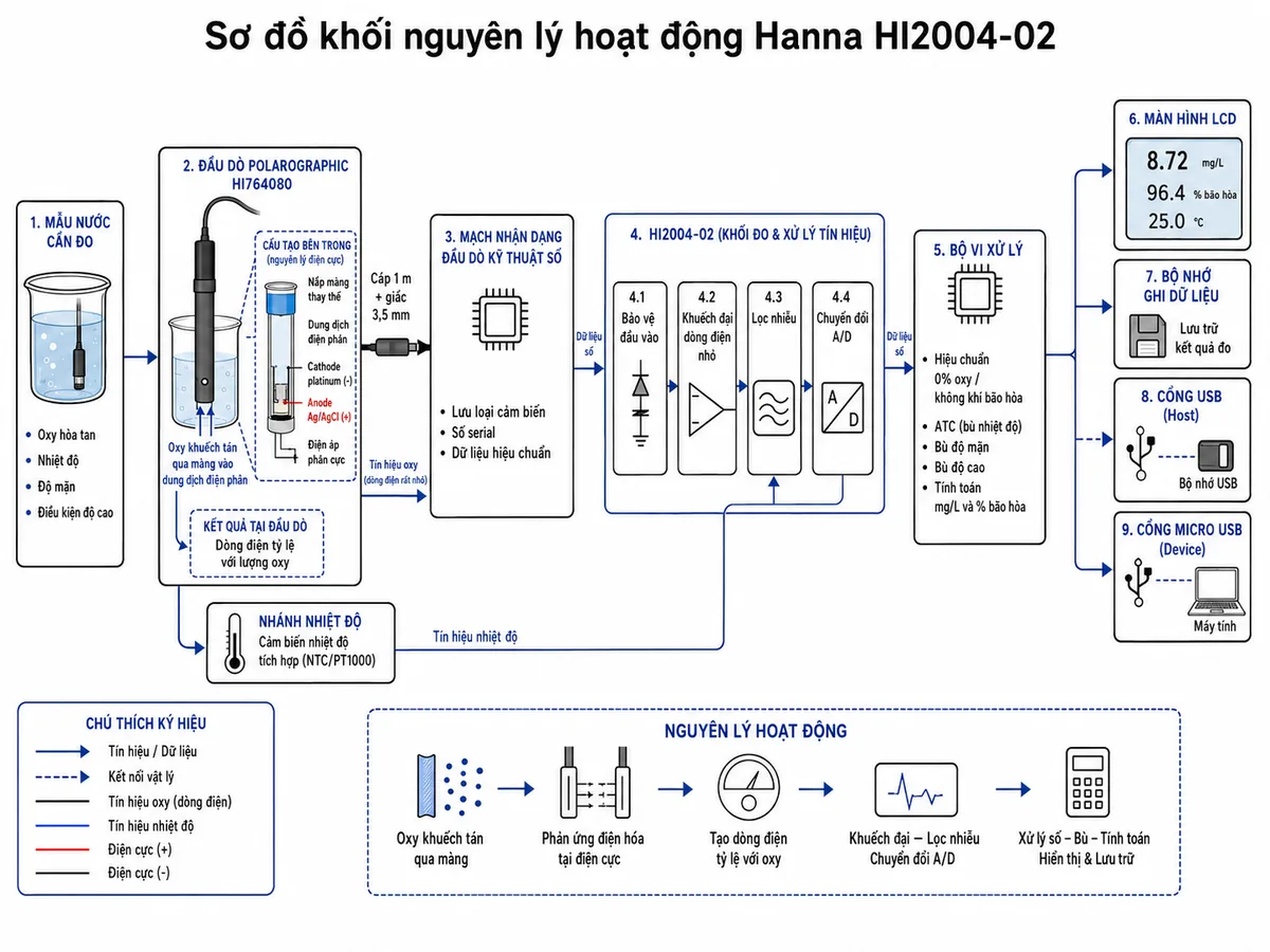 Vẽ sơ đồ khối nguyên lý hoạt động của Hanna HI2004-02 trên nền trắng, bố cục ngang. Luồng bắt đầu từ mẫu nước chứa oxy hòa tan, nhiệt độ, độ mặn và điều kiện độ cao. Oxy khuếch tán qua nắp màng có thể thay thế của đầu dò polarographic HI764080 vào dung dịch điện phân; bên trong đầu dò thể hiện cathode platinum, anode Ag/AgCl và điện áp phân cực tạo dòng điện tỷ lệ với lượng oxy. Tách một nhánh từ cảm biến nhiệt độ tích hợp. Hai tín hiệu đi qua mạch nhận dạng đầu dò kỹ thuật số lưu loại cảm biến, số serial và dữ liệu hiệu chuẩn, cáp 1 m cùng giắc 3,5 mm đến khối bảo vệ đầu vào, khuếch đại dòng điện nhỏ, lọc nhiễu và chuyển đổi A/D trong HI2004-02. Tiếp theo là bộ vi xử lý áp dụng hiệu chuẩn không oxy hoặc không khí bão hòa, ATC, bù độ mặn và bù độ cao; đầu ra chia đến màn hình LCD hiển thị mg/L, phần trăm bão hòa và nhiệt độ, bộ nhớ ghi dữ liệu, cổng USB lưu trữ và cổng micro USB kết nối máy tính.