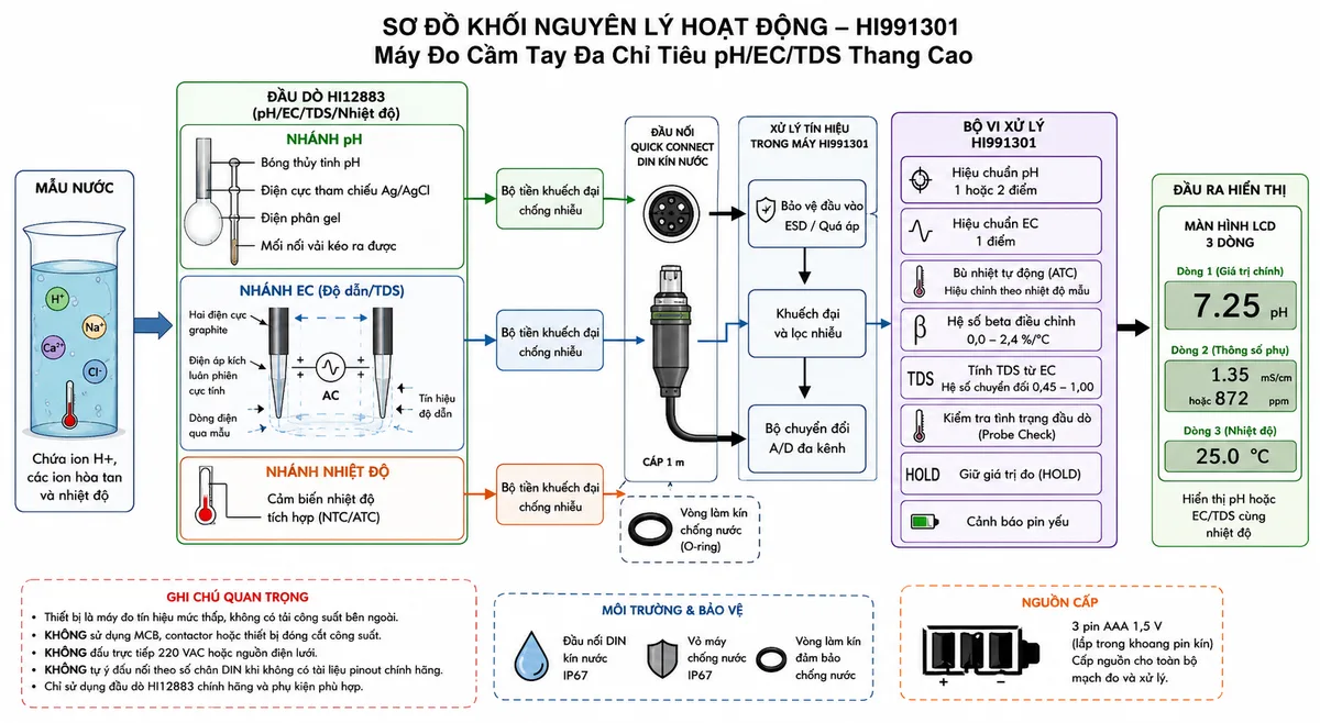 Vẽ sơ đồ khối nguyên lý hoạt động của Hanna HI991301 trên nền trắng, bố cục ngang. Luồng bắt đầu từ mẫu nước chứa ion H+, các ion hòa tan và nhiệt độ. Chia thành ba nhánh trong đầu dò HI12883: nhánh pH gồm bóng thủy tinh pH, điện cực tham chiếu Ag/AgCl, điện phân gel, mối nối vải kéo ra được và bộ tiền khuếch đại chống nhiễu; nhánh EC gồm hai điện cực graphite, điện áp kích luân phiên cực tính, dòng điện qua mẫu và tín hiệu độ dẫn; nhánh nhiệt độ gồm cảm biến nhiệt tích hợp. Các tín hiệu đi qua đầu nối Quick Connect DIN, khối bảo vệ đầu vào, khuếch đại và lọc nhiễu, bộ chuyển đổi A/D rồi vào bộ vi xử lý HI991301. Trong bộ xử lý thể hiện hiệu chuẩn pH một hoặc hai điểm, hiệu chuẩn EC một điểm, bù nhiệt tự động, hệ số beta điều chỉnh, tính TDS từ EC bằng hệ số chuyển đổi 0,45 đến 1,00, kiểm tra tình trạng đầu dò, chức năng HOLD và cảnh báo pin yếu. Đầu ra là màn hình LCD ba dòng hiển thị pH hoặc EC/TDS cùng nhiệt độ.