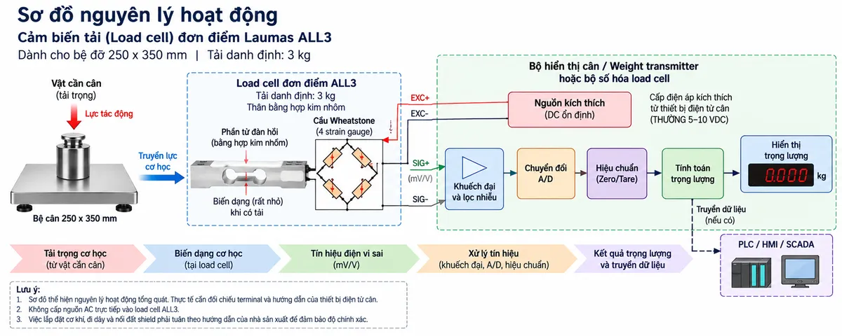 Vẽ sơ đồ nguyên lý hoạt động dạng khối cho Laumas ALL3 trên nền trắng, bố cục ngang. Bắt đầu từ vật cần cân/tải trọng cơ học tác động xuống bệ cân 250 x 350 mm; lực truyền tới load cell single-point ALL3 tải danh định 3 kg. Bên trong load cell thể hiện phần tử đàn hồi bằng hợp kim nhôm và bốn strain gauge mắc thành cầu Wheatstone. Từ bộ hiển thị cân hoặc weight transmitter vẽ nhánh điện áp kích thích EXC+/EXC- cấp vào cầu đo. Khi tải tác động, phần tử đàn hồi biến dạng làm điện trở strain gauge thay đổi và tạo tín hiệu vi sai SIG+/SIG- dạng mV/V. Tín hiệu tiếp tục qua khối khuếch đại và lọc, chuyển đổi A/D, hiệu chuẩn/Zero/Tare, tính toán trọng lượng và màn hình hiển thị. Nếu bộ điện tử cân hỗ trợ thì vẽ thêm nhánh dữ liệu sau xử lý tới PLC/HMI/SCADA. Phân biệt rõ bằng mũi tên và chú thích tiếng Việt cho luồng lực cơ học, điện áp kích thích, tín hiệu đo và dữ liệu đã xử lý.
