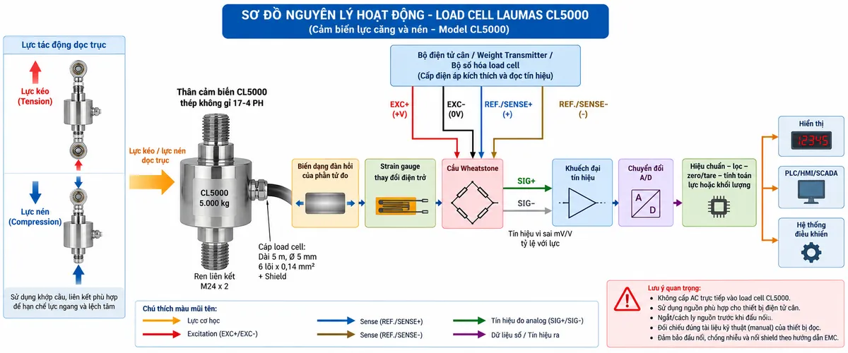 Vẽ sơ đồ nguyên lý hoạt động dạng khối cho Laumas CL5000 trên nền trắng, bố cục ngang. Luồng chính từ trái sang phải gồm “Lực kéo / lực nén dọc trục” → “Thân cảm biến CL5000 – thép không gỉ 17-4 PH” → “Biến dạng đàn hồi của phần tử đo” → “Strain gauge thay đổi điện trở” → “Cầu Wheatstone”. Từ bộ điện tử cân phía trên vẽ EXC+/EXC- cấp điện áp kích thích vào cầu Wheatstone; REF./SENSE+ và REF./SENSE- là hai đường hồi tiếp điện áp của cấu hình 6 dây; từ cầu Wheatstone vẽ SIG+/SIG- là tín hiệu vi sai mV/V tỷ lệ với lực đi tới “Khuếch đại tín hiệu” → “Chuyển đổi A/D” → “Hiệu chuẩn – lọc – zero/tare – tính toán lực hoặc khối lượng”. Cuối sơ đồ chia ba nhánh tới “Hiển thị”, “PLC/HMI/SCADA” và “Hệ thống điều khiển”. Dùng màu và mũi tên riêng để phân biệt lực cơ học, excitation, sense, tín hiệu đo analog và dữ liệu số.