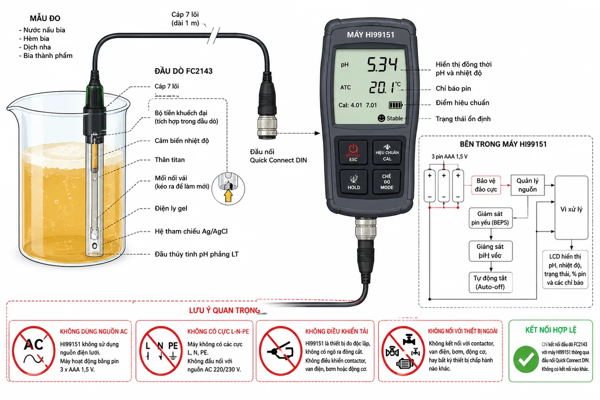 Vẽ sơ đồ đấu nối và kết nối của máy đo pH/nhiệt độ Hanna HI99151 trên nền trắng, bố cục ngang, nhãn tiếng Việt. Bên trái thể hiện cốc mẫu nước nấu bia, hèm bia, dịch nha hoặc bia; đầu dò FC2143 nhúng đúng phần cảm biến vào mẫu, gồm đầu thủy tinh pH phẳng LT, hệ tham chiếu Ag/AgCl, điện ly gel, mối nối vải có thể kéo làm mới, cảm biến nhiệt độ, thân titan và bộ tiền khuếch đại. Từ đầu dò đi qua cáp 7 lõi dài 1 m và đầu Quick Connect DIN vào cổng đầu dò phía dưới máy HI99151. Bên trong máy thể hiện nguồn 3 pin AAA 1,5 V với đúng cực dương và cực âm, khối quản lý nguồn, bảo vệ đảo cực, giám sát pin yếu và tự động tắt. Màn hình hiển thị đồng thời pH và nhiệt độ. Ghi rõ HI99151 không dùng nguồn AC, không có cực L-N-PE, không điều khiển tải và không được nối với contactor, van điện hoặc động cơ.