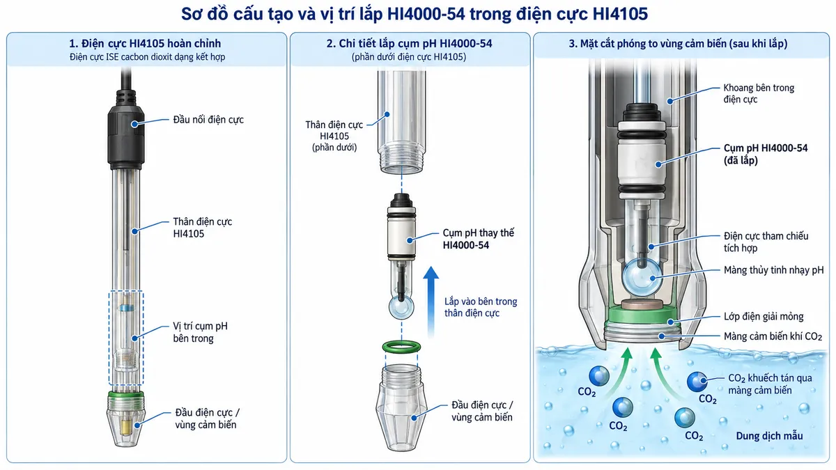 Sơ đồ cấu tạo và vị trí lắp cụm pH thay thế HI4000-54 bên trong điện cực ISE cacbon dioxit Hanna HI4105