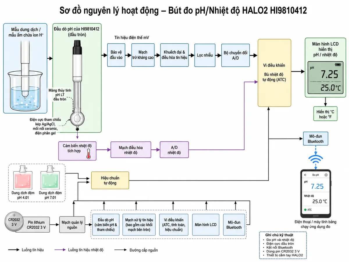 Vẽ sơ đồ nguyên lý hoạt động dạng khối của Bút Đo pH/Nhiệt Độ Cho Da Thuộc &amp; Bề Mặt Giấy Hanna HI9810442, nền trắng, bố cục ngang, phong cách kỹ thuật đo lường và nhãn tiếng Việt. Luồng chính bắt đầu từ mẫu da thuộc hoặc bề mặt giấy có lớp ẩm và ion H+, đi tới màng thủy tinh pH nhiệt độ thấp LT dạng phẳng; tín hiệu được so sánh với hệ điện cực tham chiếu kép Ag/AgCl chứa điện phân Viscolene. Điện thế mV tiếp tục qua khối bảo vệ đầu vào, mạch trở kháng cao, khuếch đại và điều hòa tín hiệu, lọc nhiễu, bộ chuyển đổi A/D, vi điều khiển rồi tới màn hình LCD hiển thị pH. Vẽ nhánh riêng từ cảm biến nhiệt độ tích hợp qua mạch điều hòa và A/D tới vi điều khiển để bù nhiệt độ tự động và hiển thị °C hoặc °F. Bổ sung nhánh hiệu chuẩn tự động từ dung dịch đệm Hanna pH 4.01 và pH 7.01 tới vi điều khiển, nhánh nguồn từ pin CR2032 qua mạch quản lý nguồn, cùng nhánh truyền dữ liệu Bluetooth từ vi điều khiển tới Hanna Lab App trên điện thoại hoặc máy tính bảng.