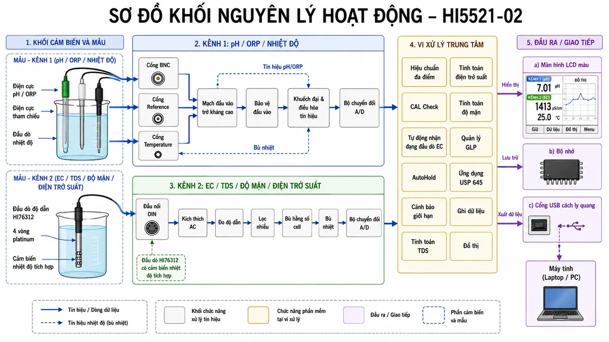 Vẽ sơ đồ khối nguyên lý hoạt động của máy đo đa chỉ tiêu Hanna HI5521-02 trên nền trắng, bố cục ngang. Bên trái có hai cốc mẫu hoặc một cốc mẫu dùng đồng thời hai kênh. Nhánh kênh 1 gồm điện cực pH hoặc ORP, điện cực tham chiếu và đầu dò nhiệt độ; tín hiệu đi qua cổng BNC, cổng Reference và cổng Temperature vào mạch đầu vào trở kháng cao, bảo vệ đầu vào, khuếch đại và điều hòa tín hiệu, bộ chuyển đổi A/D. Nhánh kênh 2 gồm đầu dò HI76312 với bốn vòng platinum và cảm biến nhiệt độ tích hợp; tín hiệu đi qua đầu nối DIN vào khối kích thích AC, đo độ dẫn, lọc nhiễu, bù hằng số cell, bù nhiệt và chuyển đổi A/D. Hai nhánh hội tụ tại vi xử lý trung tâm, thể hiện các khối hiệu chuẩn đa điểm, CAL Check, tự động nhận dạng đầu dò EC, AutoHold, cảnh báo giới hạn, tính toán TDS, điện trở suất và độ mặn, quản lý GLP, ứng dụng USP 645, ghi dữ liệu và đồ thị. Đầu ra từ vi xử lý tới màn hình LCD màu, bộ nhớ và cổng USB cách ly quang nối máy tính. Thể hiện rõ luồng tín hiệu từ cảm biến sang xử lý, hiển thị, lưu trữ và xuất dữ liệu.