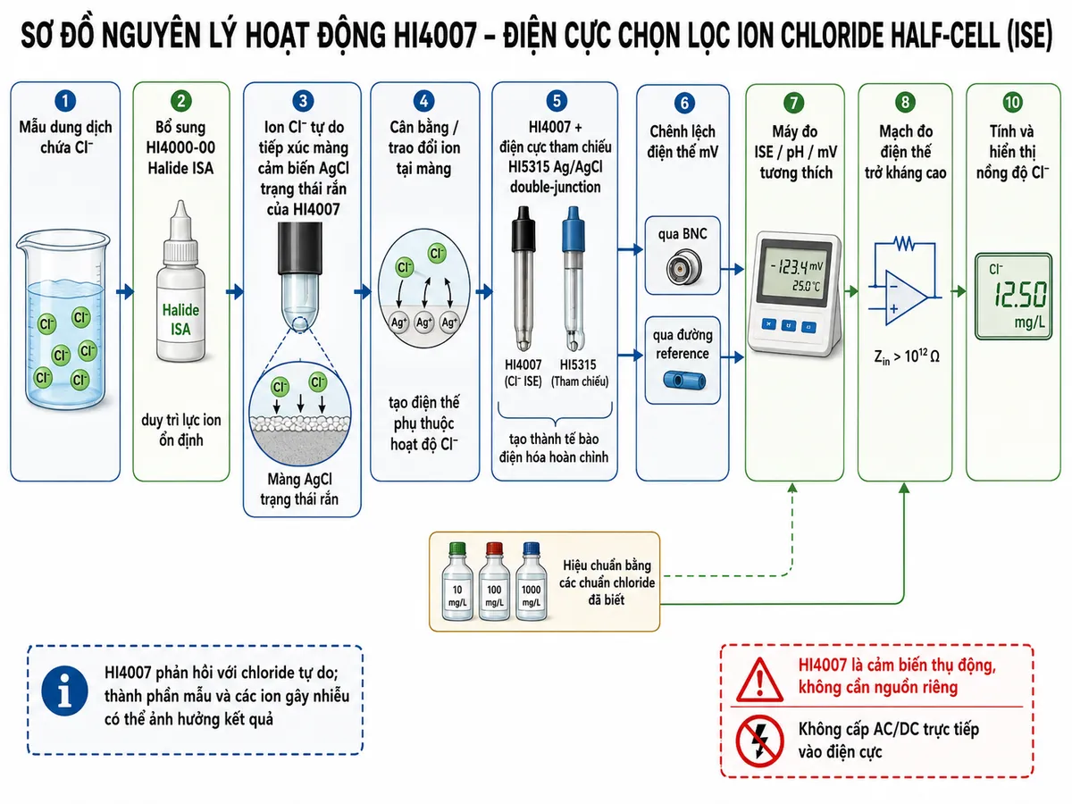 Vẽ sơ đồ nguyên lý hoạt động dạng block diagram kỹ thuật của Hanna HI4007 trên nền trắng, bố cục ngang: mẫu dung dịch chứa Cl⁻ → bổ sung dung dịch HI4000-00 Halide ISA để duy trì lực ion ổn định → ion Cl⁻ tự do tiếp xúc màng cảm biến bạc chloride AgCl trạng thái rắn của HI4007 → cân bằng/trao đổi ion tại màng tạo điện thế phụ thuộc hoạt độ Cl⁻ → HI4007 kết hợp với điện cực tham chiếu HI5315 Ag/AgCl double-junction để hoàn thành tế bào điện hóa → chênh lệch điện thế mV truyền qua BNC và đường reference tới máy đo ISE/pH/mV tương thích → mạch đo điện thế trở kháng cao → hiệu chuẩn bằng các chuẩn chloride đã biết → CPU áp dụng quan hệ Nernst/đường chuẩn → tính và hiển thị nồng độ Cl⁻. Thêm nhánh ghi chú “HI4007 phản hồi với chloride tự do; thành phần mẫu và các ion gây nhiễu có thể ảnh hưởng kết quả”. Ghi rõ HI4007 là cảm biến thụ động, không cần nguồn riêng.