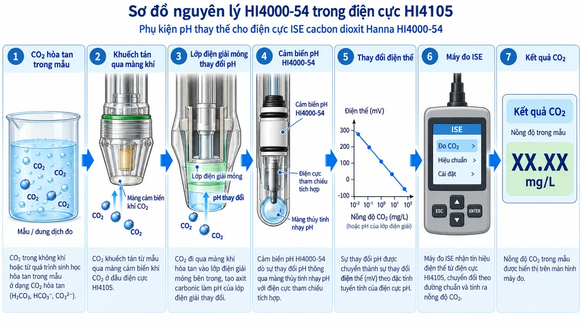 Sơ đồ nguyên lý HI4000-54 trong HI4105: CO2 hòa tan trong mẫu → khuếch tán qua màng khí → lớp điện giải mỏng thay đổi pH → cảm biến pH HI4000-54 → thay đổi điện thế → máy đo ISE → kết quả CO2