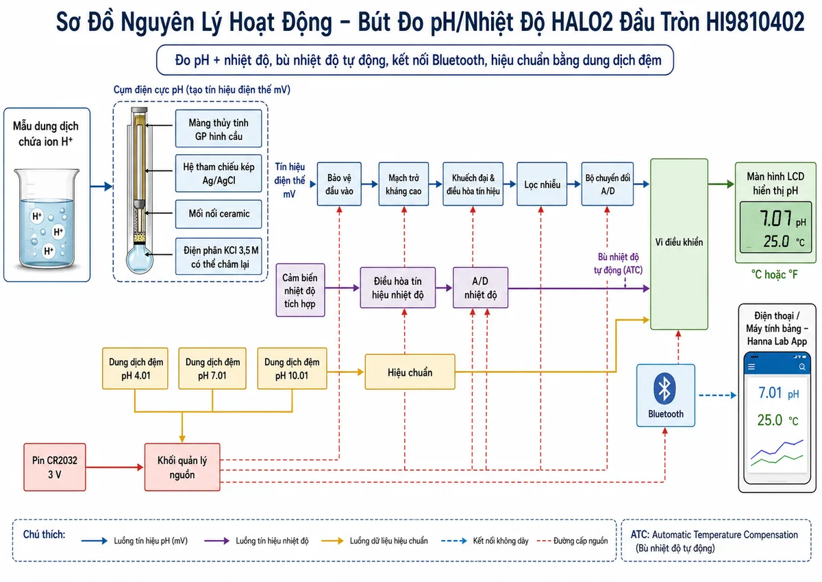 Sơ đồ nguyên lý hoạt động dạng khối của Bút Đo pH/Nhiệt Độ HALO2 Đầu Tròn Hanna HI9810402, nền trắng, bố cục ngang và nhãn tiếng Việt; luồng chính bắt đầu từ mẫu dung dịch chứa ion H+ đi tới màng thủy tinh GP hình cầu, tín hiệu được so sánh với hệ tham chiếu kép Ag/AgCl qua mối nối ceramic và điện phân KCl 3,5 M có thể châm lại; điện thế mV tiếp tục qua khối bảo vệ đầu vào, mạch trở kháng cao, khuếch đại và điều hòa tín hiệu, lọc nhiễu, bộ chuyển đổi A/D, vi điều khiển rồi tới màn hình LCD hiển thị pH; vẽ nhánh riêng từ cảm biến nhiệt độ tích hợp qua điều hòa tín hiệu và A/D tới vi điều khiển để bù nhiệt độ tự động và hiển thị °C hoặc °F; bổ sung nhánh hiệu chuẩn từ các dung dịch đệm pH tới vi điều khiển, nhánh Bluetooth từ vi điều khiển tới Hanna Lab App và nhánh nguồn từ pin CR2032 qua khối quản lý nguồn tới các mạch điện tử.