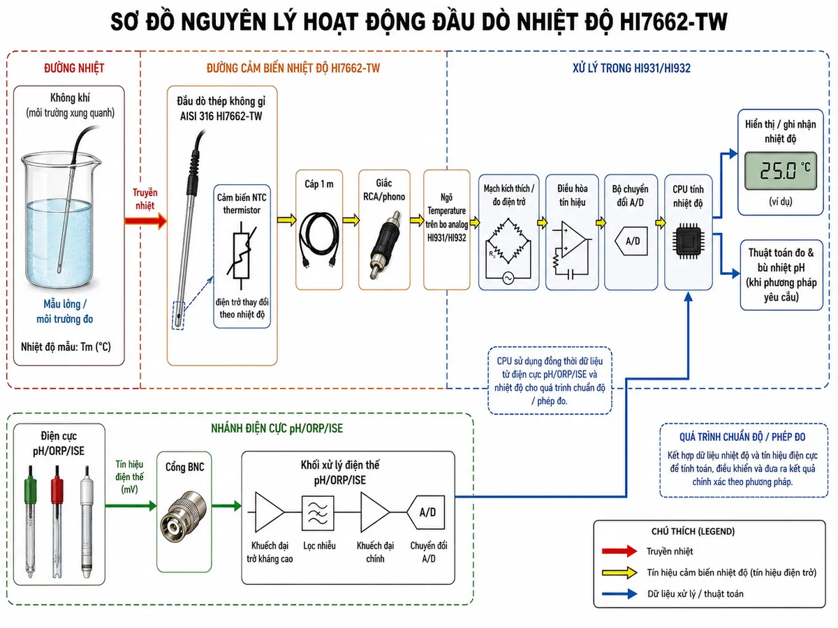 Sơ đồ nguyên lý hoạt động dạng block diagram kỹ thuật của Hanna HI7662-TW trên nền trắng: nhiệt độ mẫu lỏng hoặc môi trường đo → truyền nhiệt vào thân đầu dò thép không gỉ AISI 316 HI7662-TW → cảm biến NTC thermistor thay đổi điện trở theo nhiệt độ → tín hiệu điện trở truyền qua cáp 1 m → giắc RCA/phono → ngõ Temperature trên bo analog HI931/HI932 → mạch kích thích/đo điện trở và điều hòa tín hiệu → bộ chuyển đổi A/D → CPU tính nhiệt độ. Từ CPU tạo hai nhánh: một nhánh hiển thị/ghi nhận nhiệt độ; một nhánh đưa dữ liệu nhiệt độ vào thuật toán đo và bù nhiệt pH khi phương pháp yêu cầu. Thể hiện điện cực pH/ORP/ISE ở nhánh song song đi vào BNC và khối xử lý điện thế, sau đó cùng được CPU sử dụng trong quá trình chuẩn độ. Dùng mũi tên khác nhau để phân biệt truyền nhiệt, tín hiệu cảm biến và luồng dữ liệu xử lý.