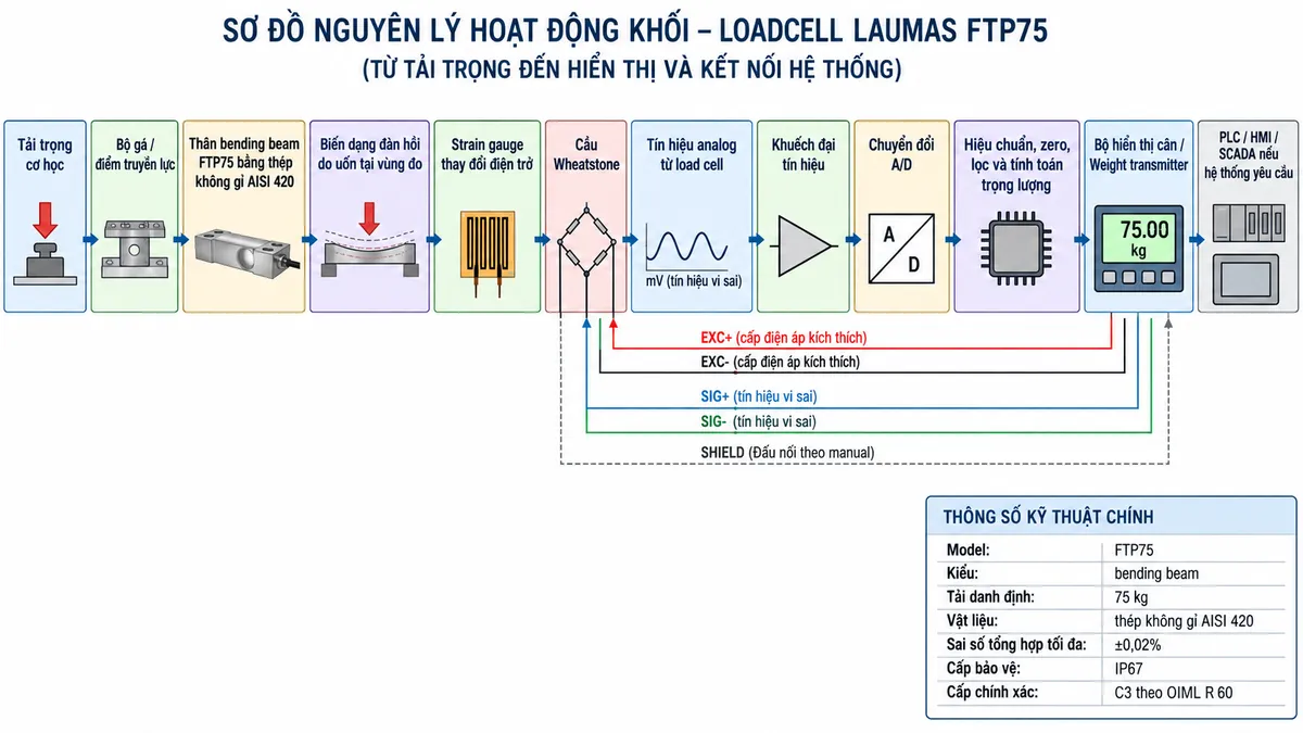 Vẽ sơ đồ nguyên lý hoạt động dạng khối cho Laumas FTP75 trên nền trắng, bố cục ngang. Luồng chính gồm: Tải trọng cơ học → Bộ gá / điểm truyền lực → Thân bending beam FTP75 bằng thép không gỉ AISI 420 → Biến dạng đàn hồi do uốn tại vùng đo → Strain gauge thay đổi điện trở → Cầu Wheatstone → Tín hiệu analog từ load cell → Khuếch đại tín hiệu → Chuyển đổi A/D → Hiệu chuẩn, zero, lọc và tính toán trọng lượng → Bộ hiển thị cân / Weight transmitter → PLC / HMI / SCADA nếu hệ thống yêu cầu. Vẽ nhánh từ thiết bị điện tử cân cấp EXC+/EXC- tới cầu Wheatstone và nhận SIG+/SIG- trở về; thể hiện SHIELD đi theo cáp tín hiệu với ghi chú đấu nối theo manual. Bổ sung khối thông tin nhận diện gồm: FTP75, bending beam, tải danh định 75 kg, thép không gỉ AISI 420, sai số tổng hợp tối đa ±0,02%, cấp bảo vệ IP67 và cấp chính xác C3 theo OIML R 60.